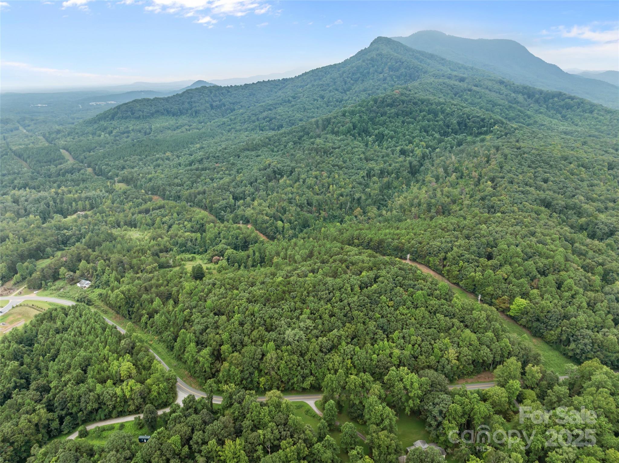 823 Silver Creek Road Mill Spring NC 28756