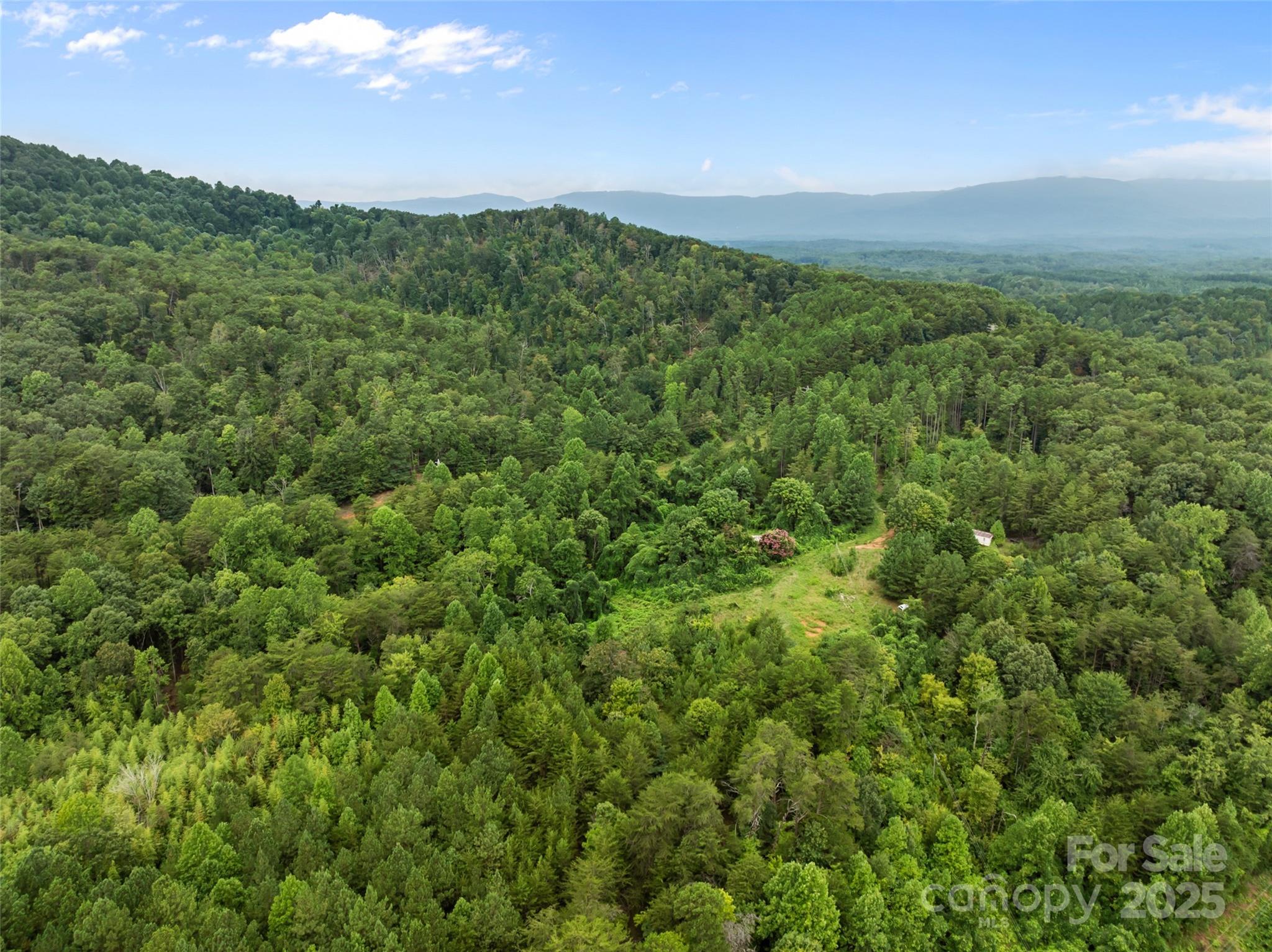 823 Silver Creek Road Mill Spring NC 28756