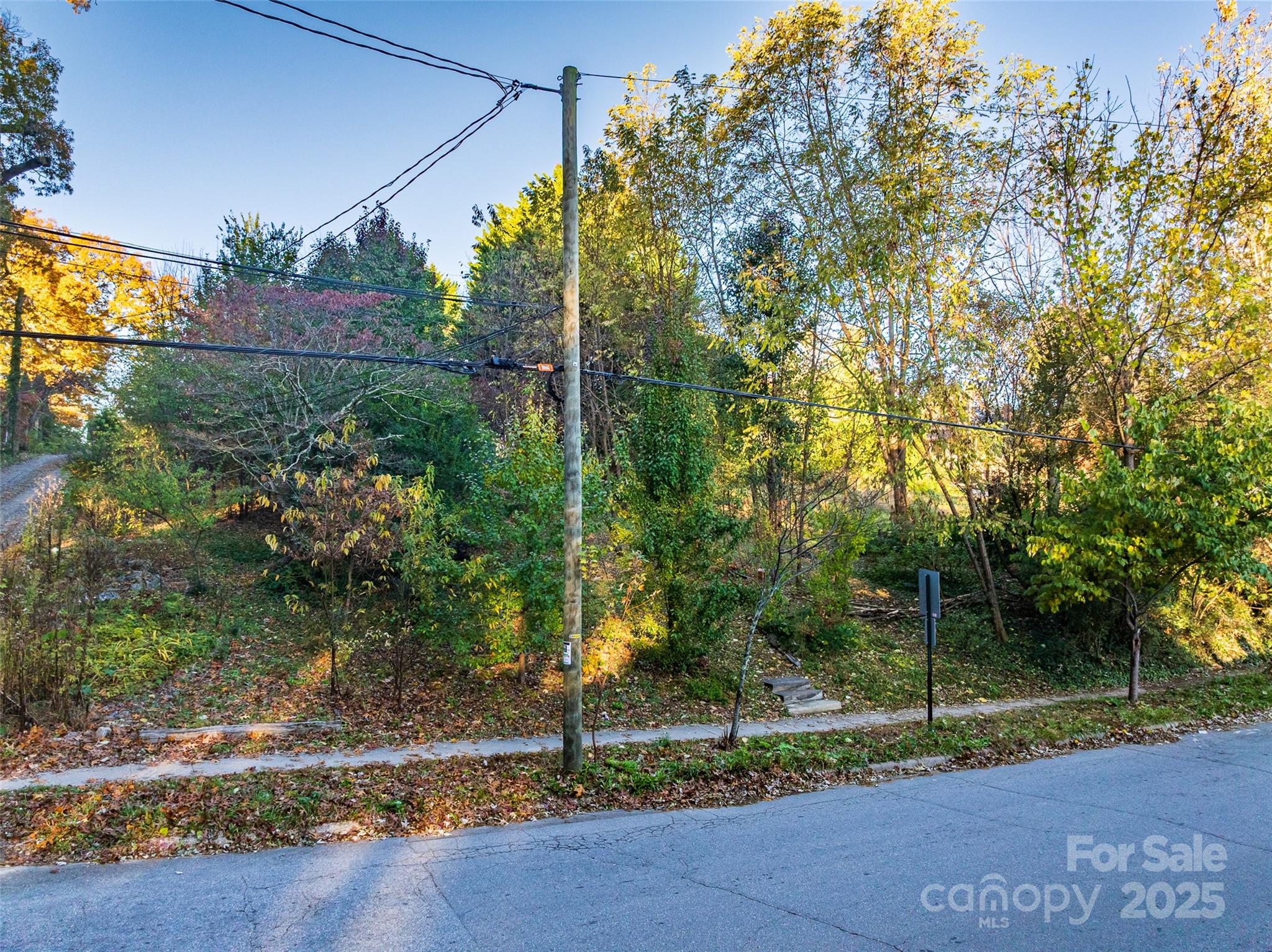 273 S French Broad Avenue Asheville NC 28801