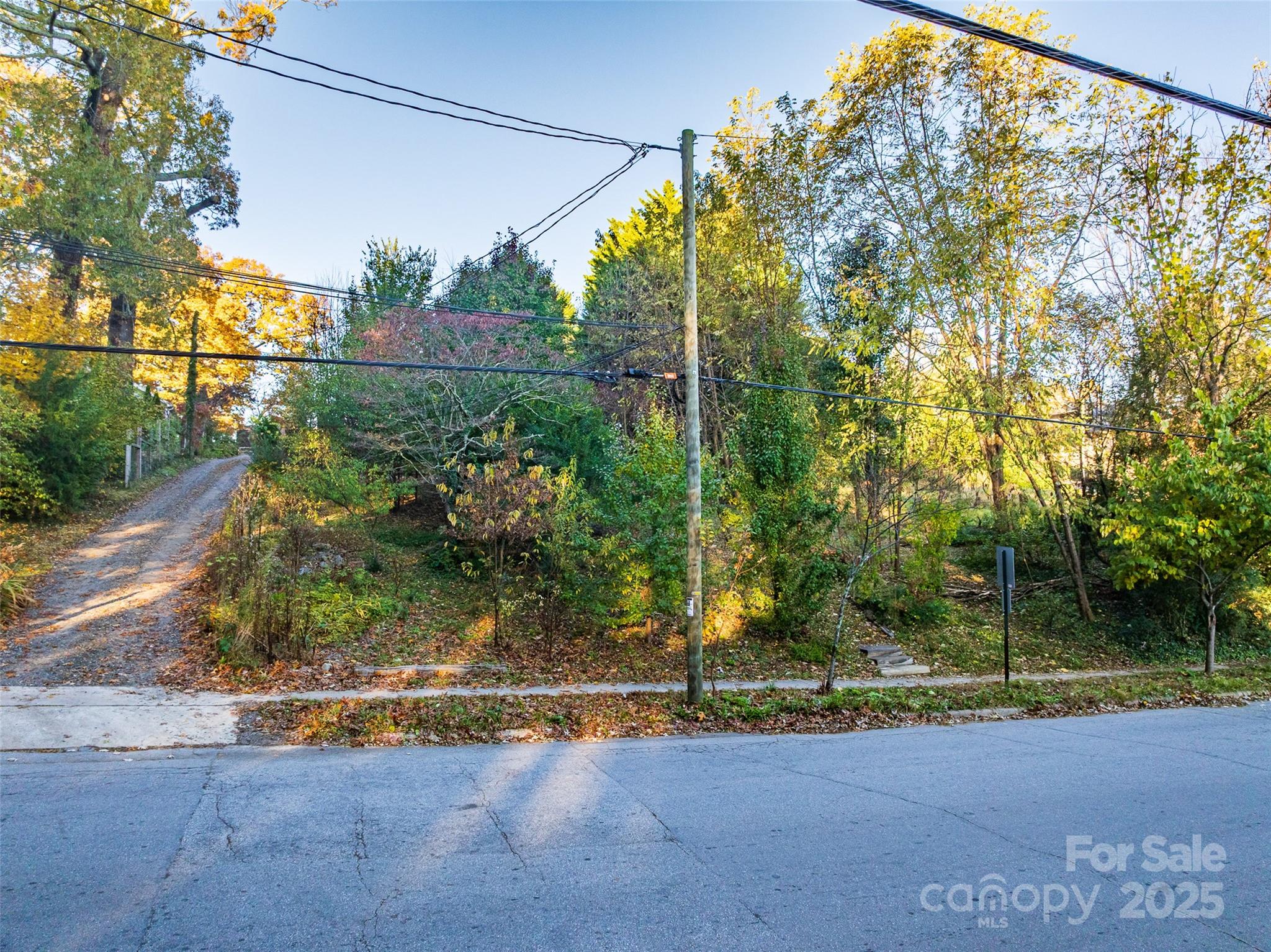 273 S French Broad Avenue Asheville NC 28801