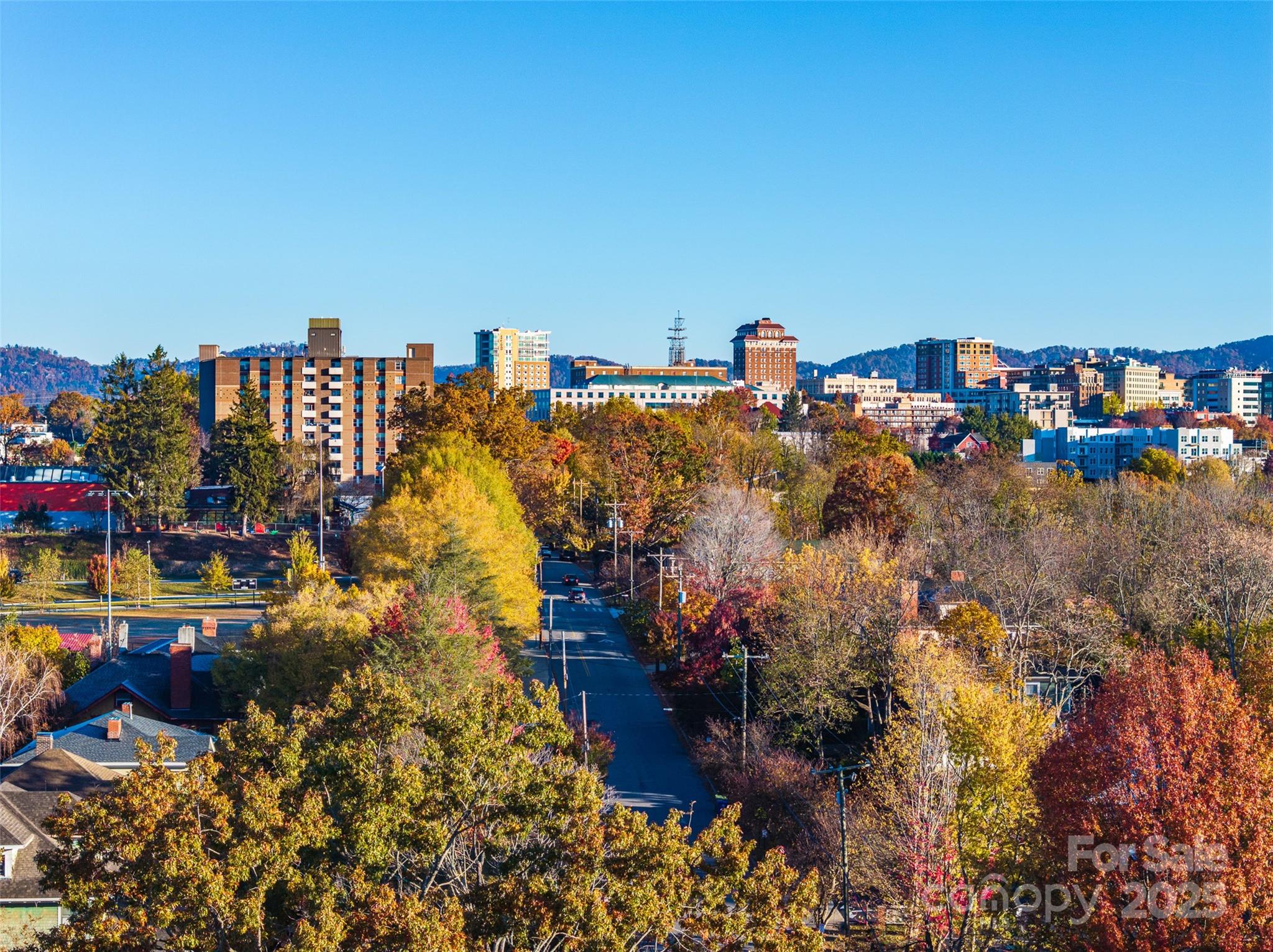 273 S French Broad Avenue Asheville NC 28801