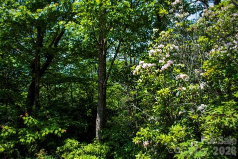 Tbd Fox Den Road Brevard NC 28712