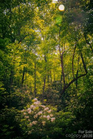 Tbd Fox Den Road Brevard NC 28712