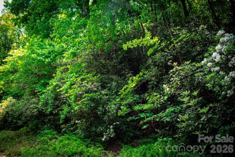 Tbd Fox Den Road Brevard NC 28712
