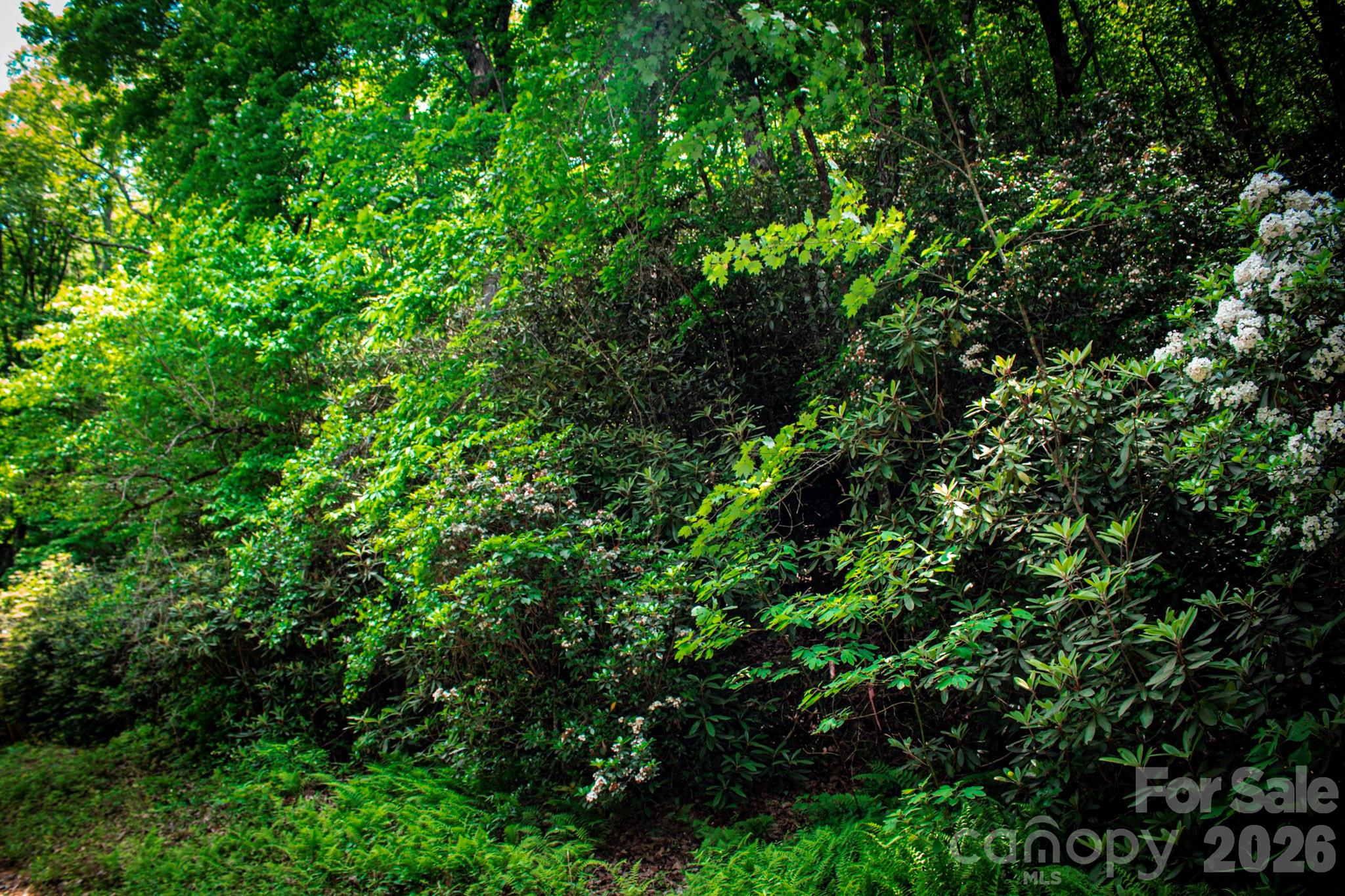 Tbd Fox Den Road Brevard NC 28712