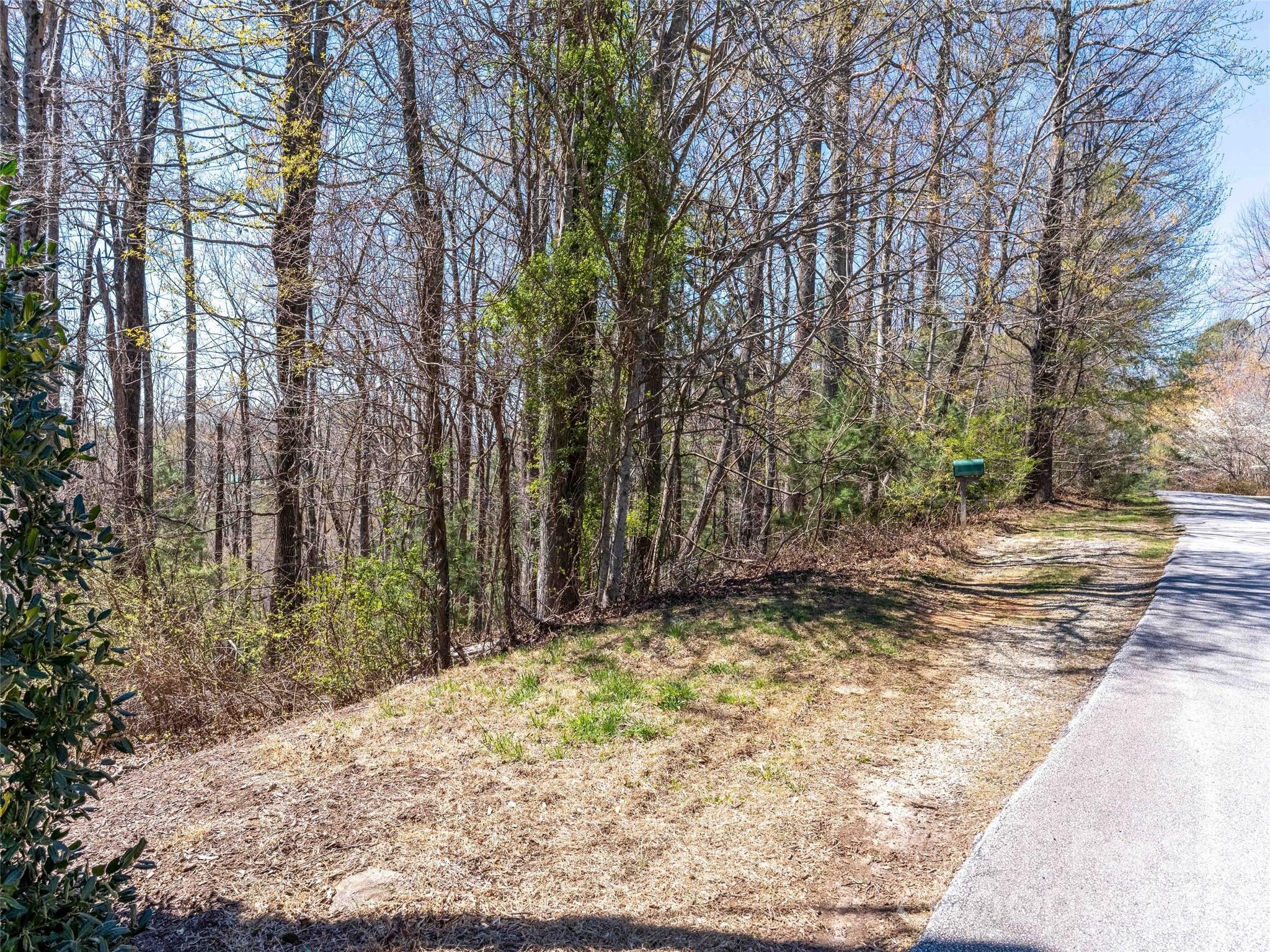 000 Glen Echo Circle Saluda NC 28773