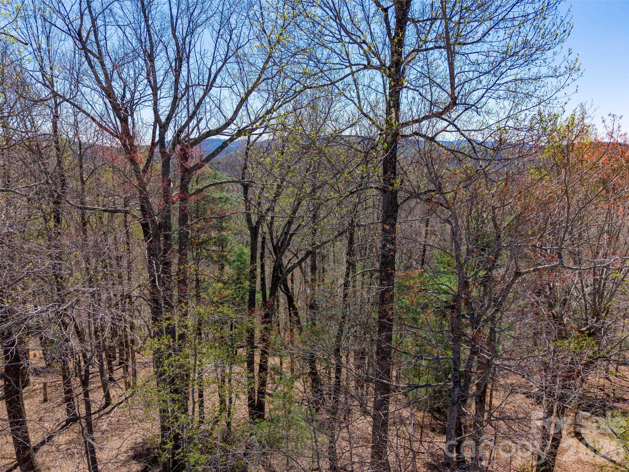 000 Glen Echo Circle Saluda NC 28773