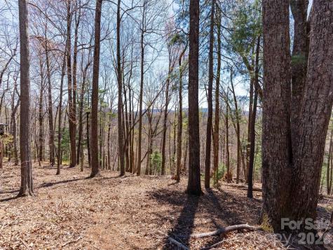 000 Glen Echo Circle Saluda NC 28773