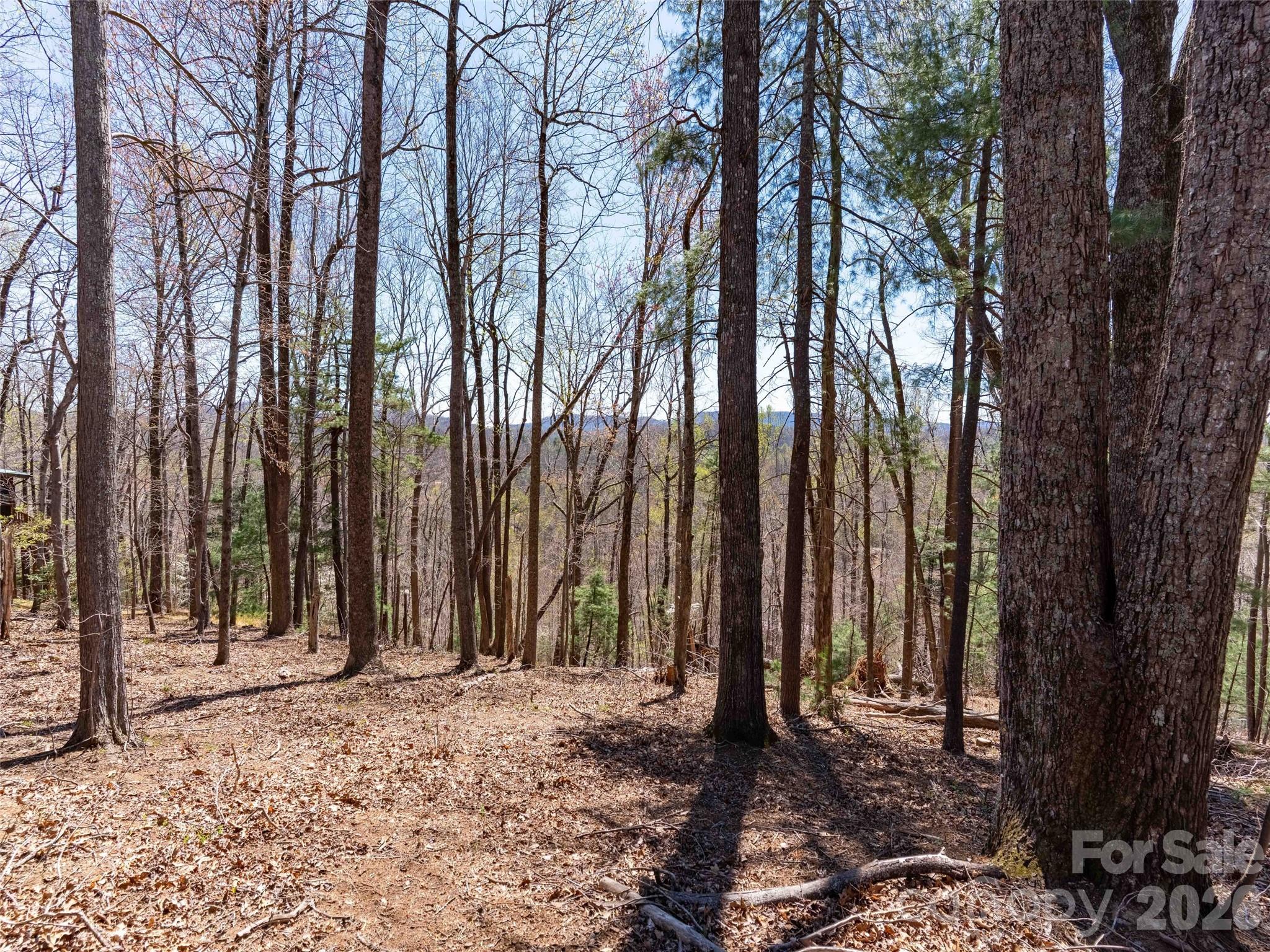 000 Glen Echo Circle Saluda NC 28773