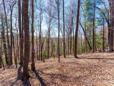 000 Glen Echo Circle Saluda NC 28773