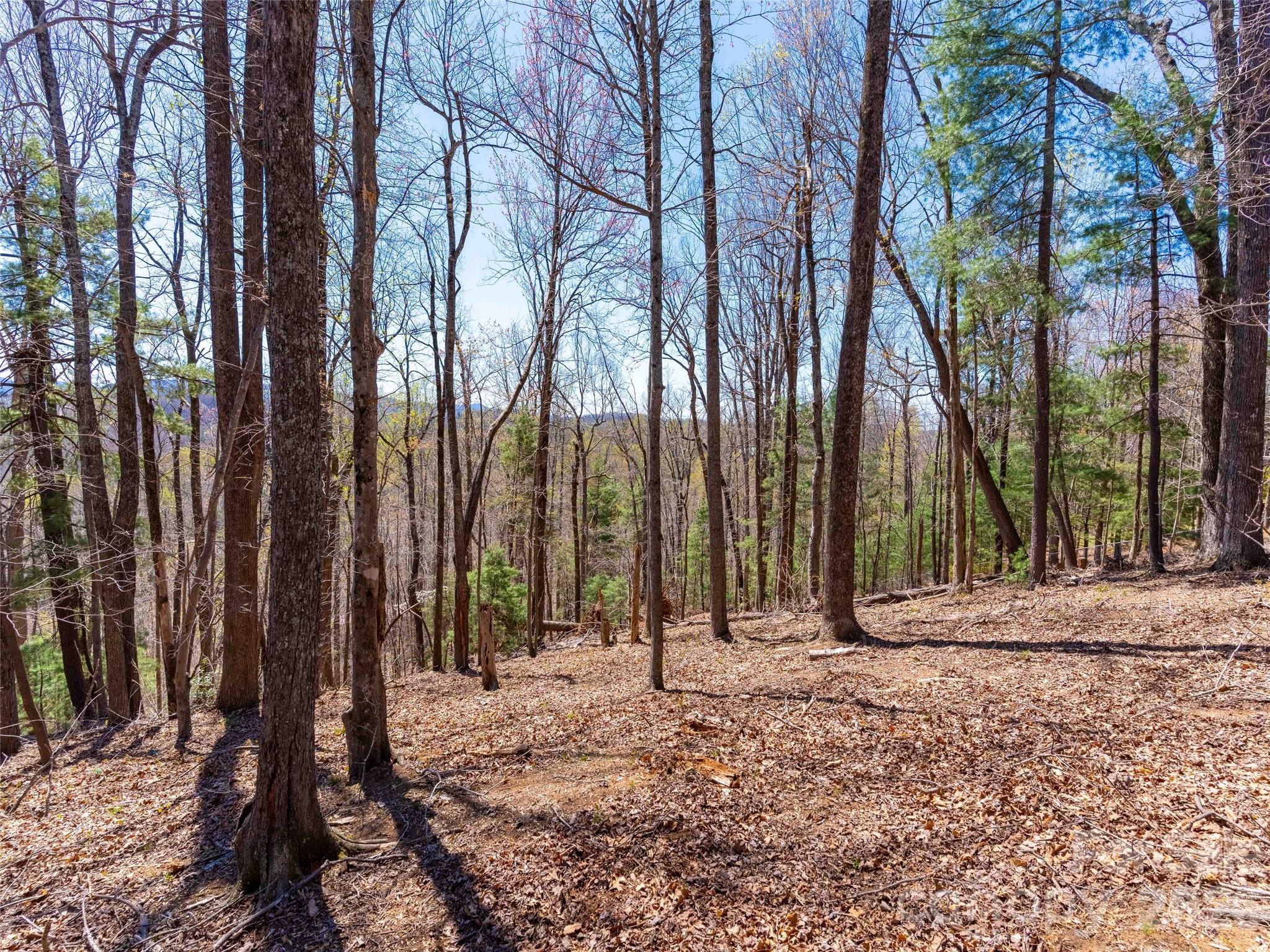 000 Glen Echo Circle Saluda NC 28773