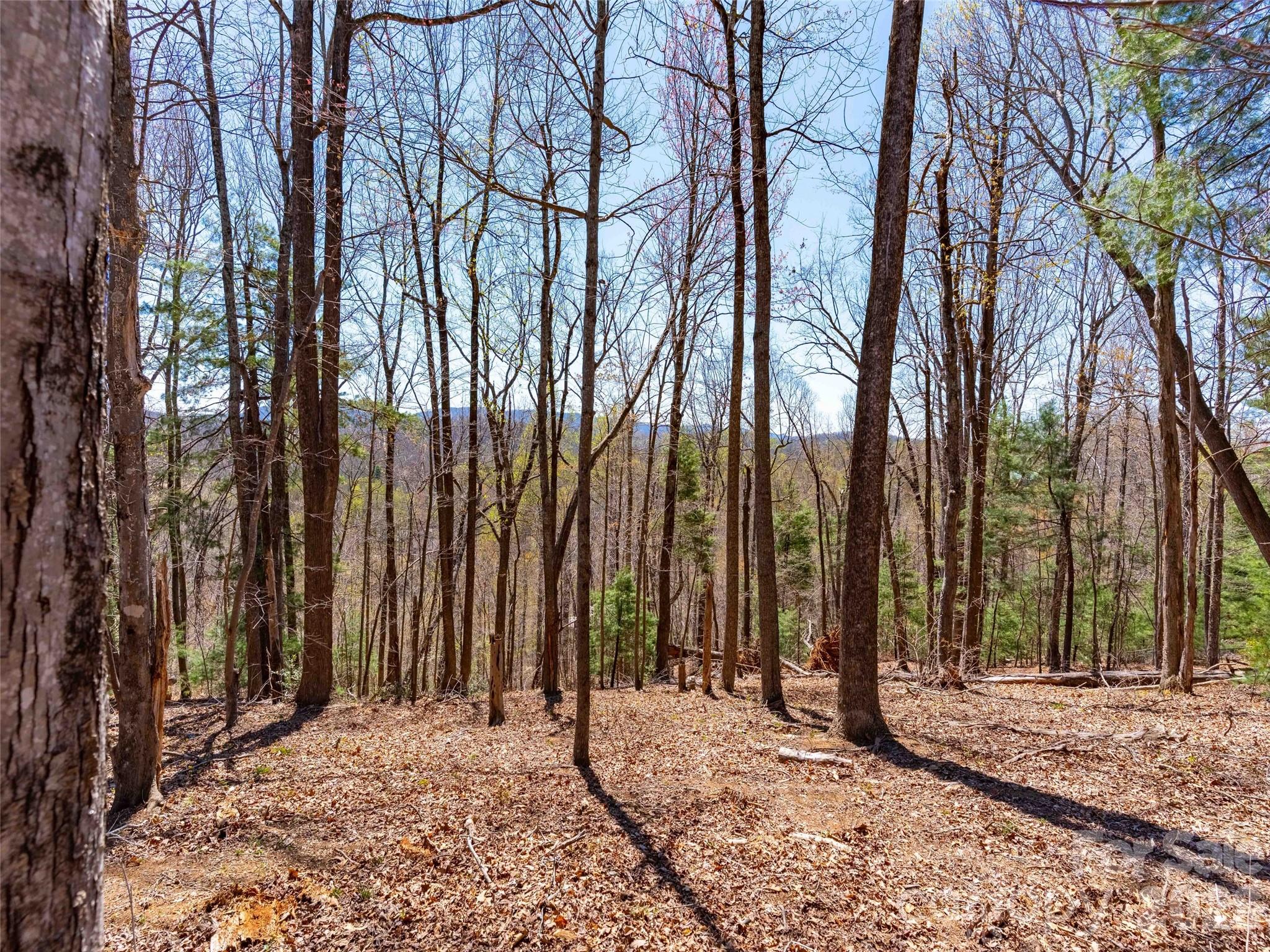 000 Glen Echo Circle Saluda NC 28773