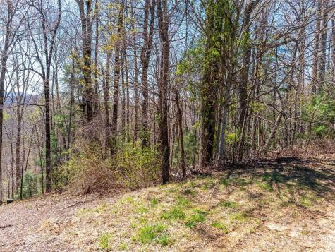 000 Glen Echo Circle Saluda NC 28773