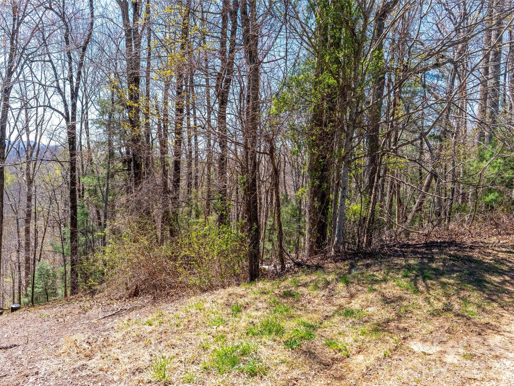 000 Glen Echo Circle Saluda NC 28773