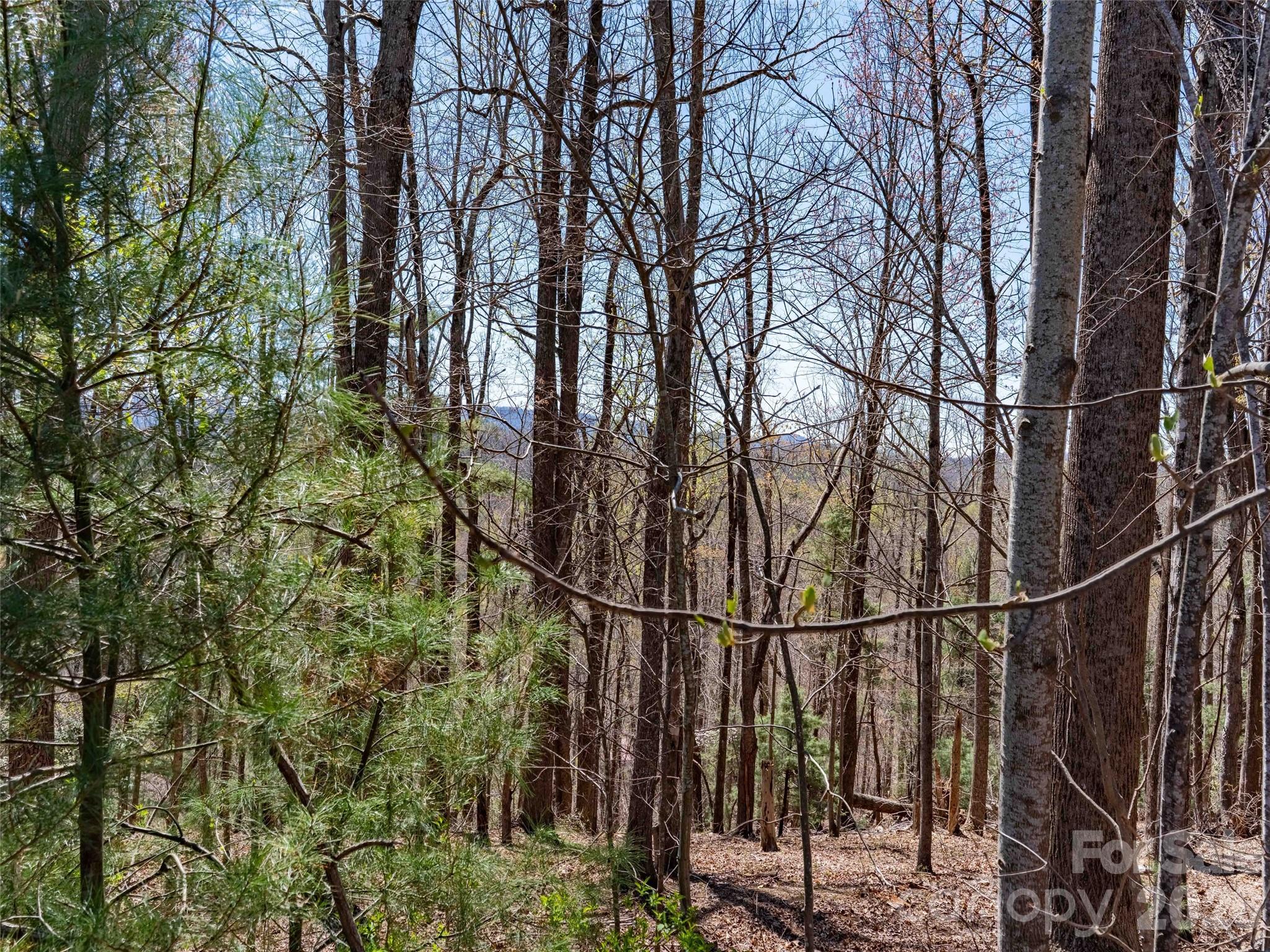 000 Glen Echo Circle Saluda NC 28773