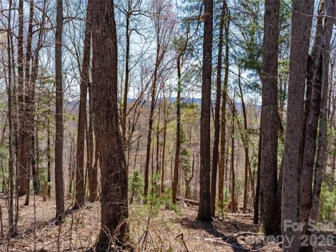 000 Glen Echo Circle Saluda NC 28773
