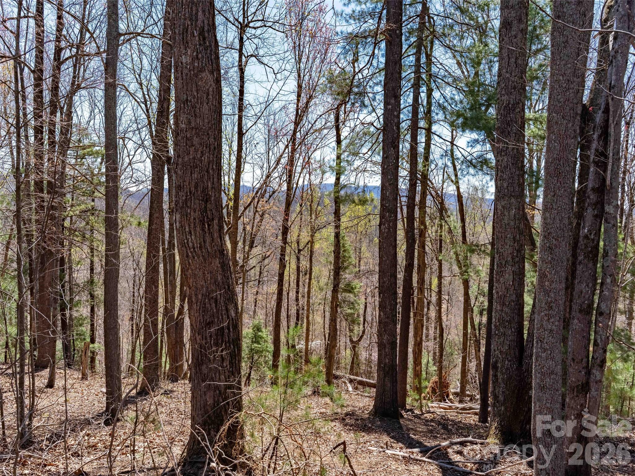 000 Glen Echo Circle Saluda NC 28773