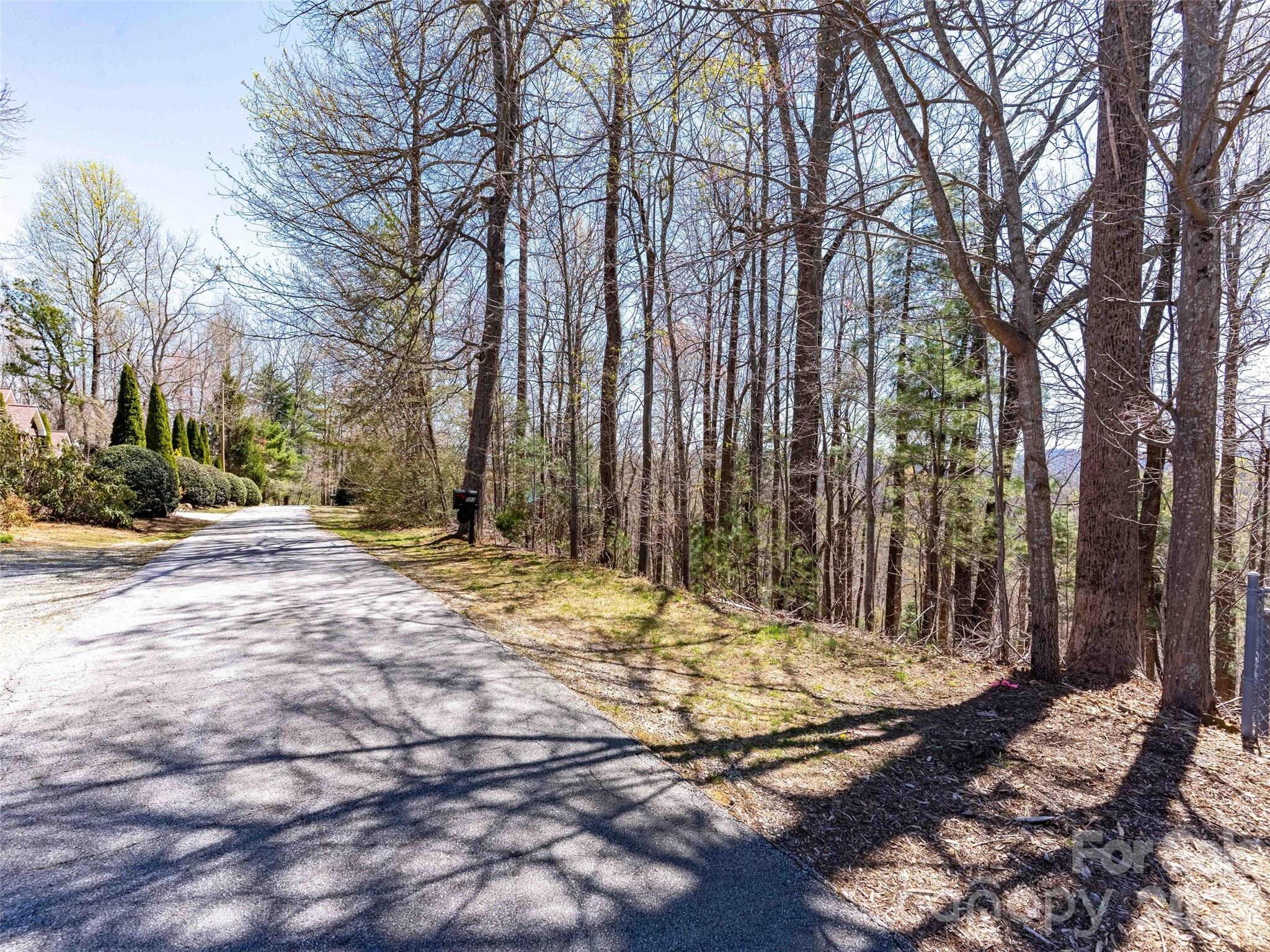 000 Glen Echo Circle Saluda NC 28773