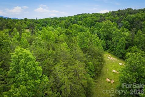 1350 Lavender Road Old Fort NC 28762