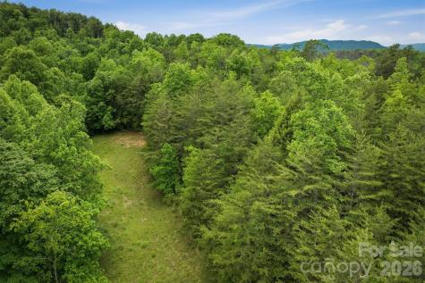 1350 Lavender Road Old Fort NC 28762
