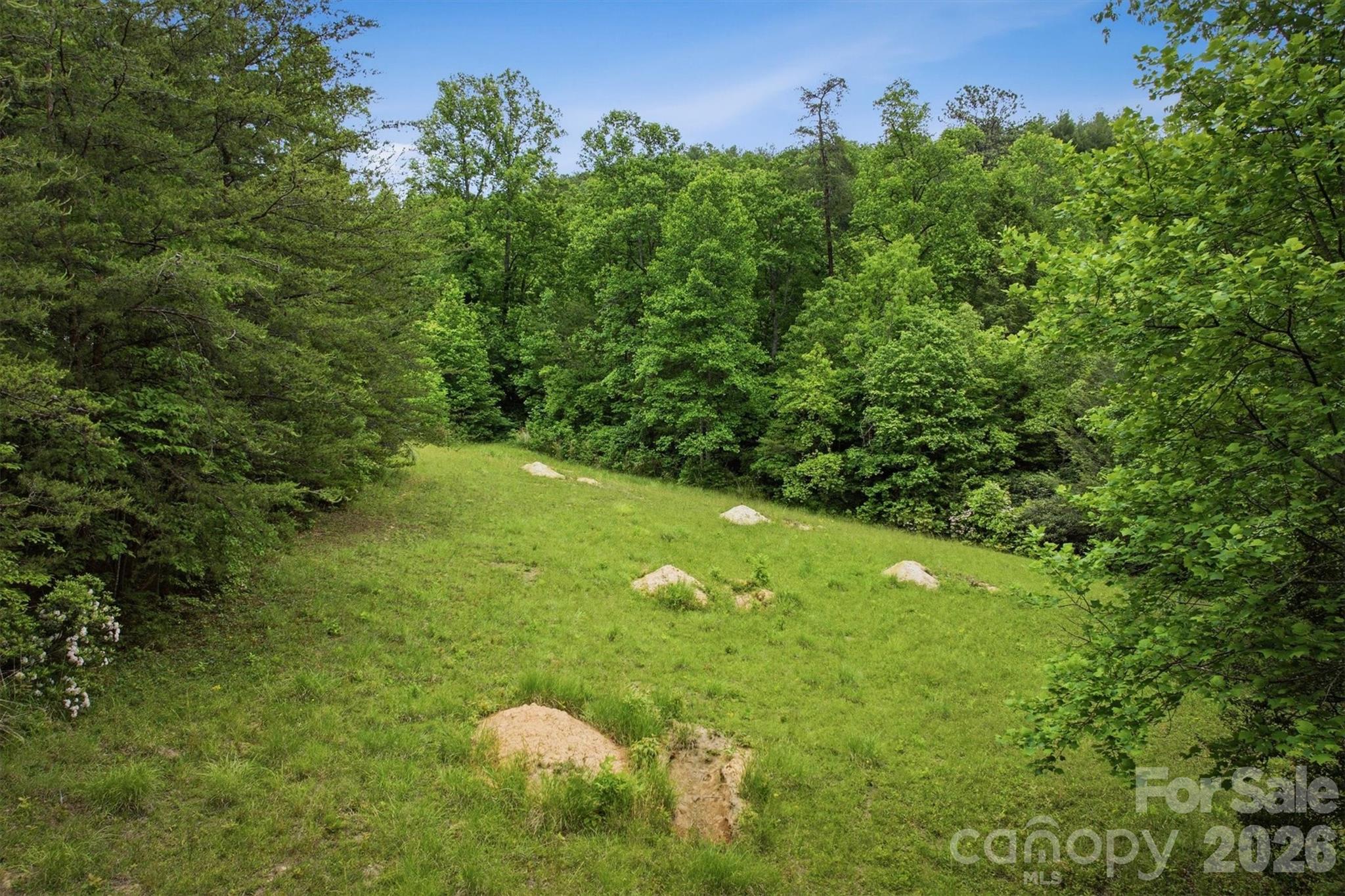 1350 Lavender Road Old Fort NC 28762
