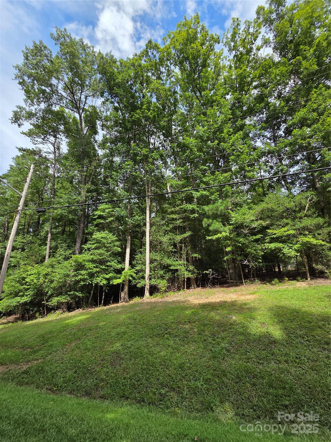 242 Creswell Road Mount Gilead NC 27306