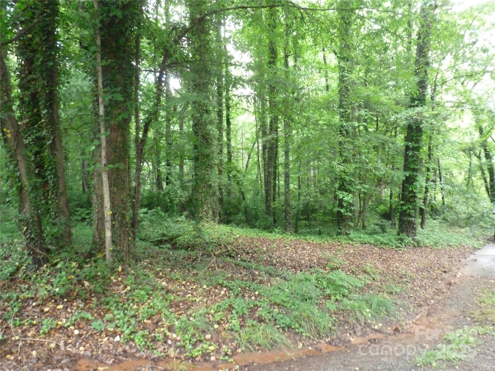8021 Black Walnut Trail Gastonia NC 28056