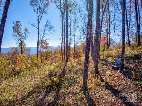 7 Laurel Ledge Way Fletcher NC 28732