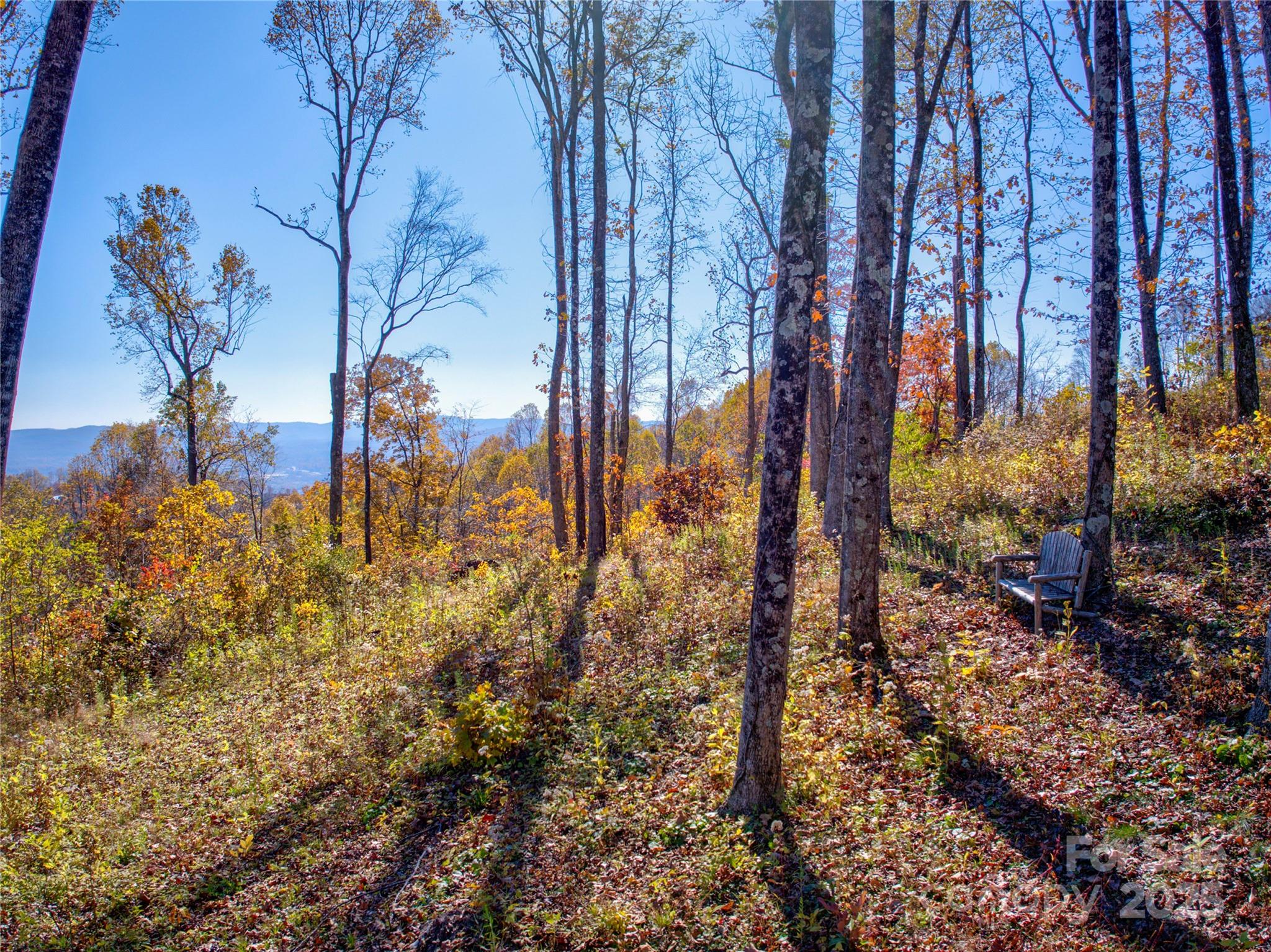 7 Laurel Ledge Way Fletcher NC 28732