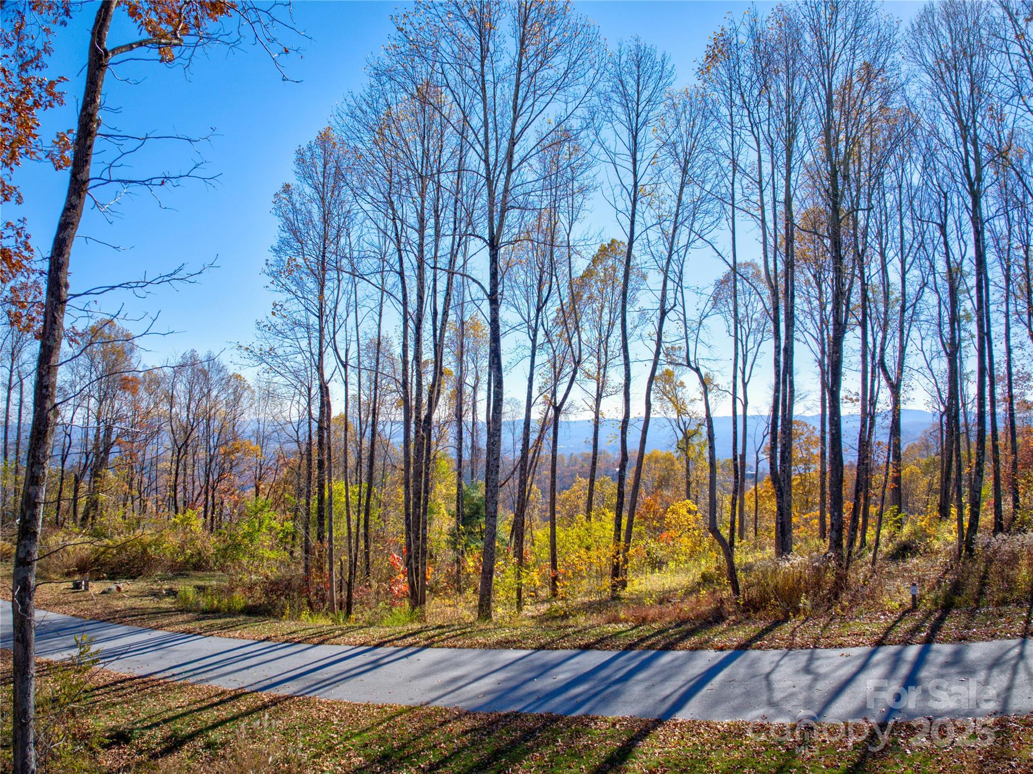 7 Laurel Ledge Way Fletcher NC 28732