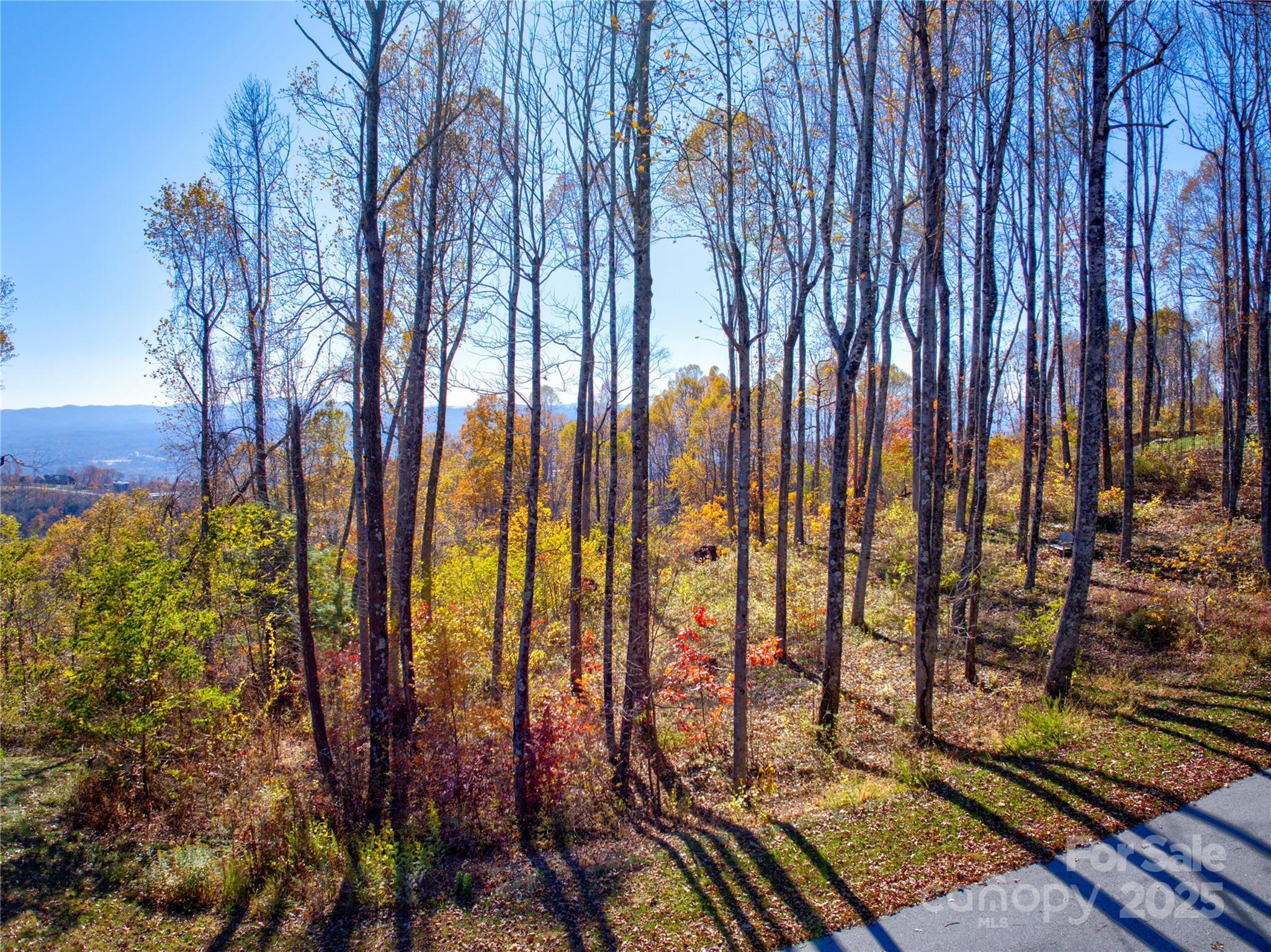 7 Laurel Ledge Way Fletcher NC 28732