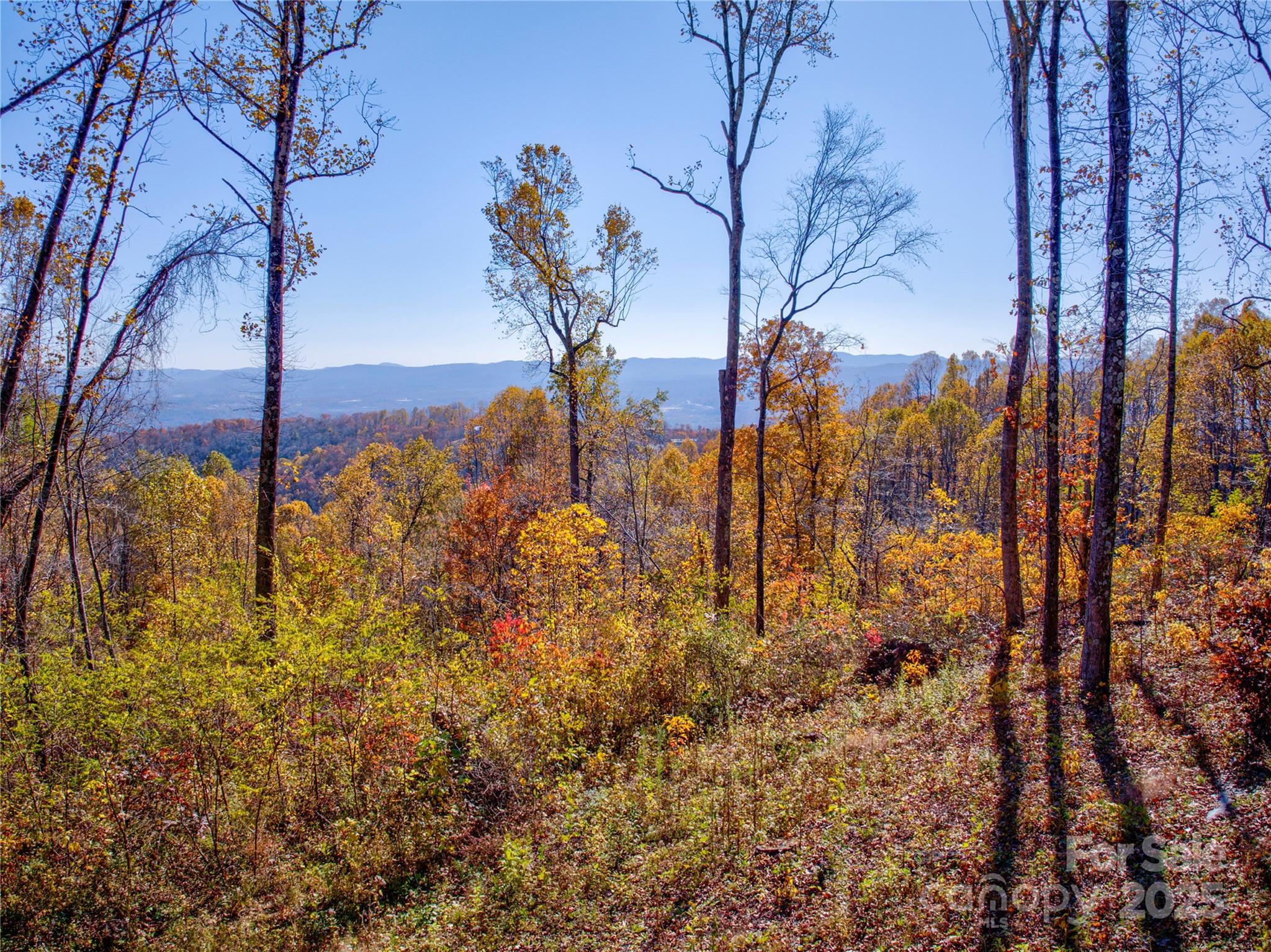 7 Laurel Ledge Way Fletcher NC 28732