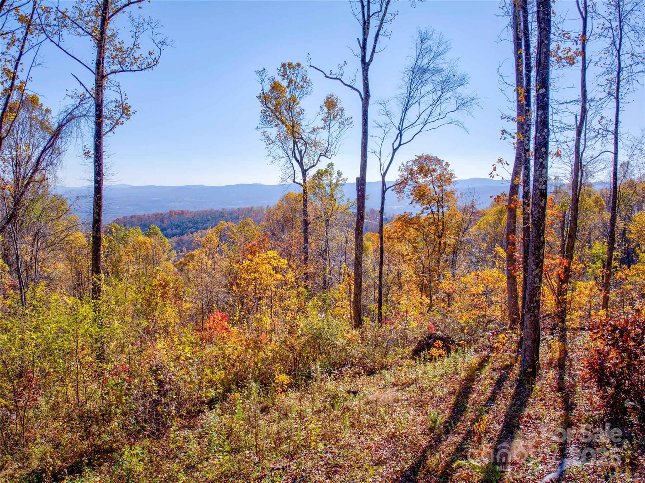 7 Laurel Ledge Way Fletcher NC 28732