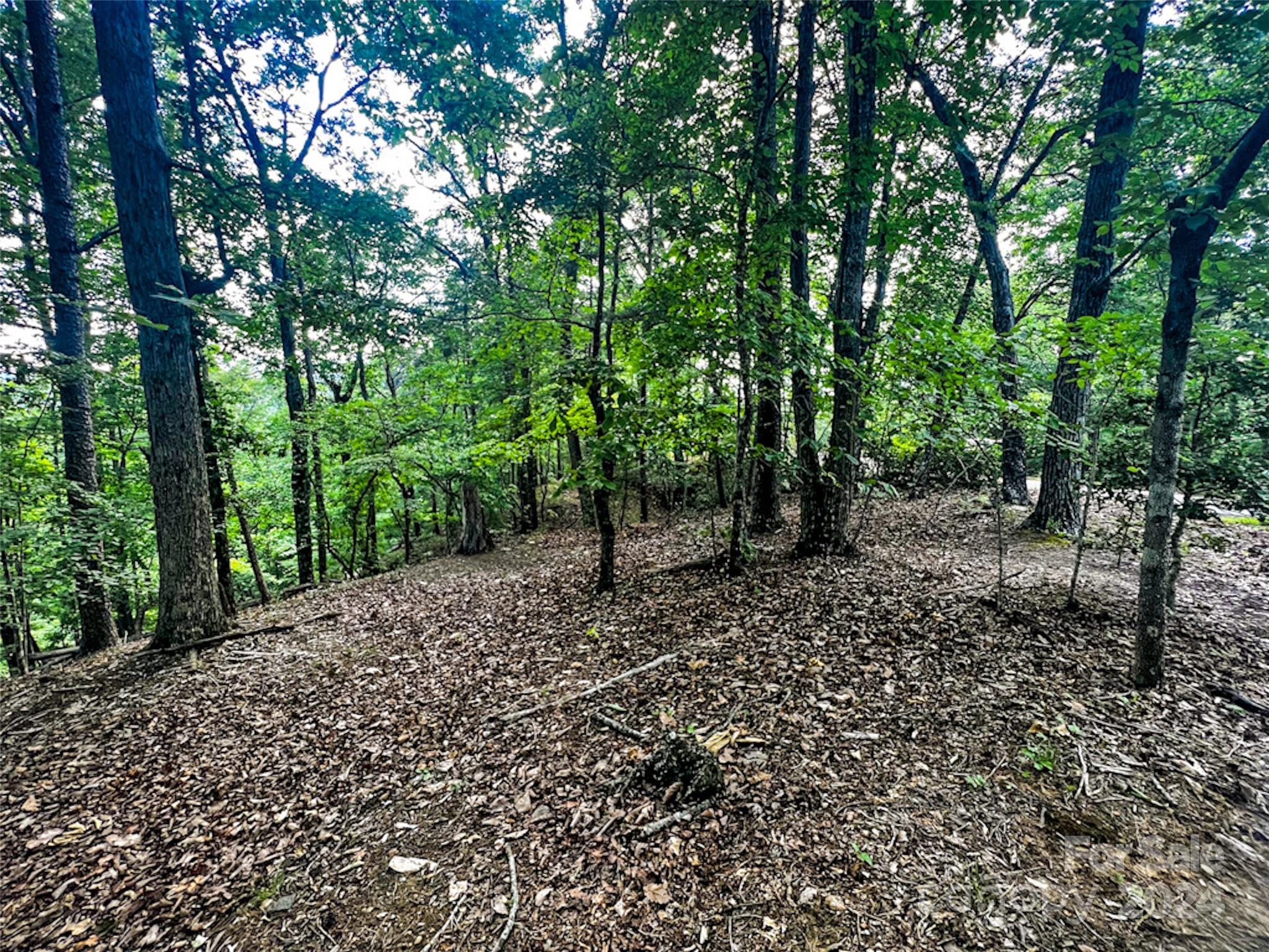 00 Whitney Boulevard Lake Lure NC 28746