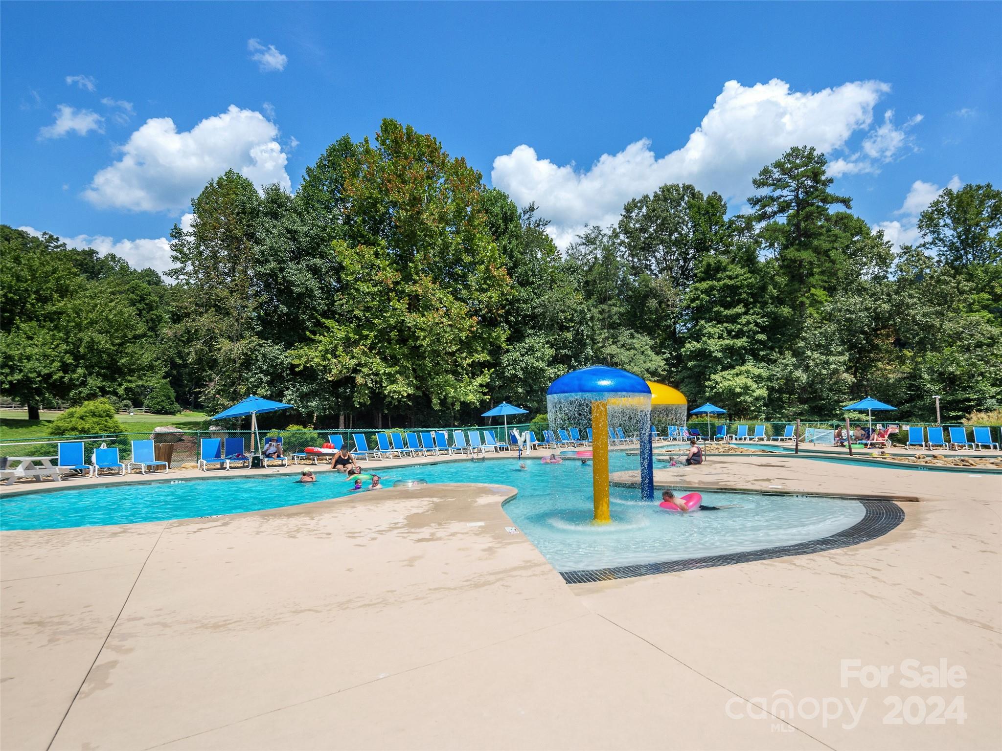 00 Whitney Boulevard Lake Lure NC 28746