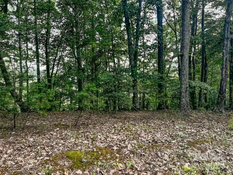 00 Whitney Boulevard Lake Lure NC 28746