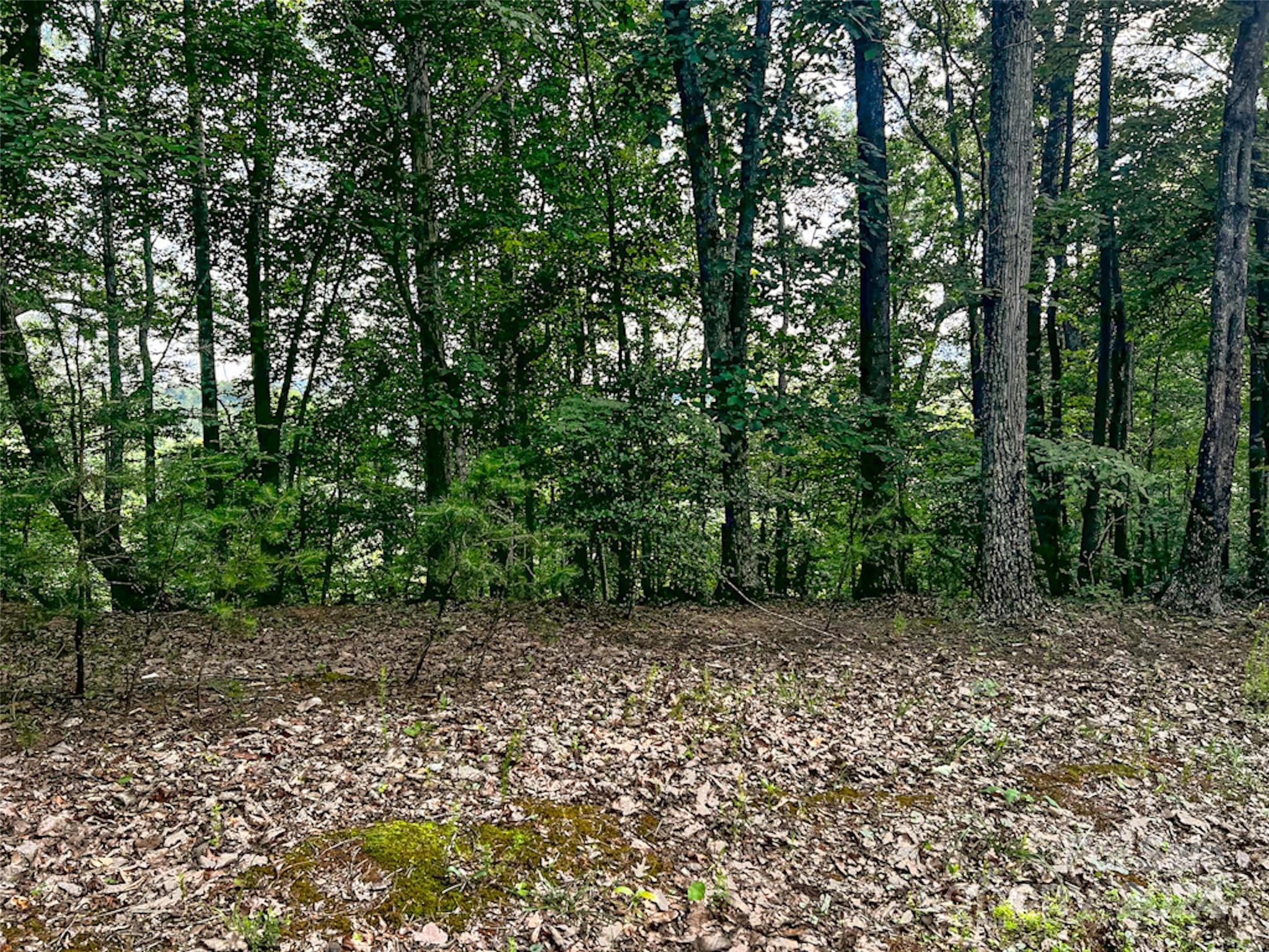 00 Whitney Boulevard Lake Lure NC 28746