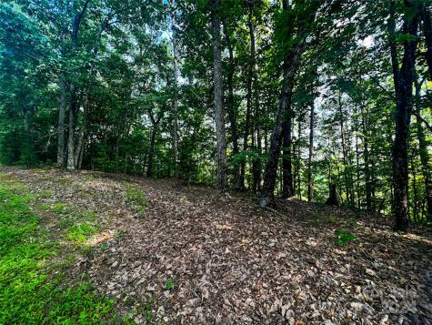 00 Whitney Boulevard Lake Lure NC 28746