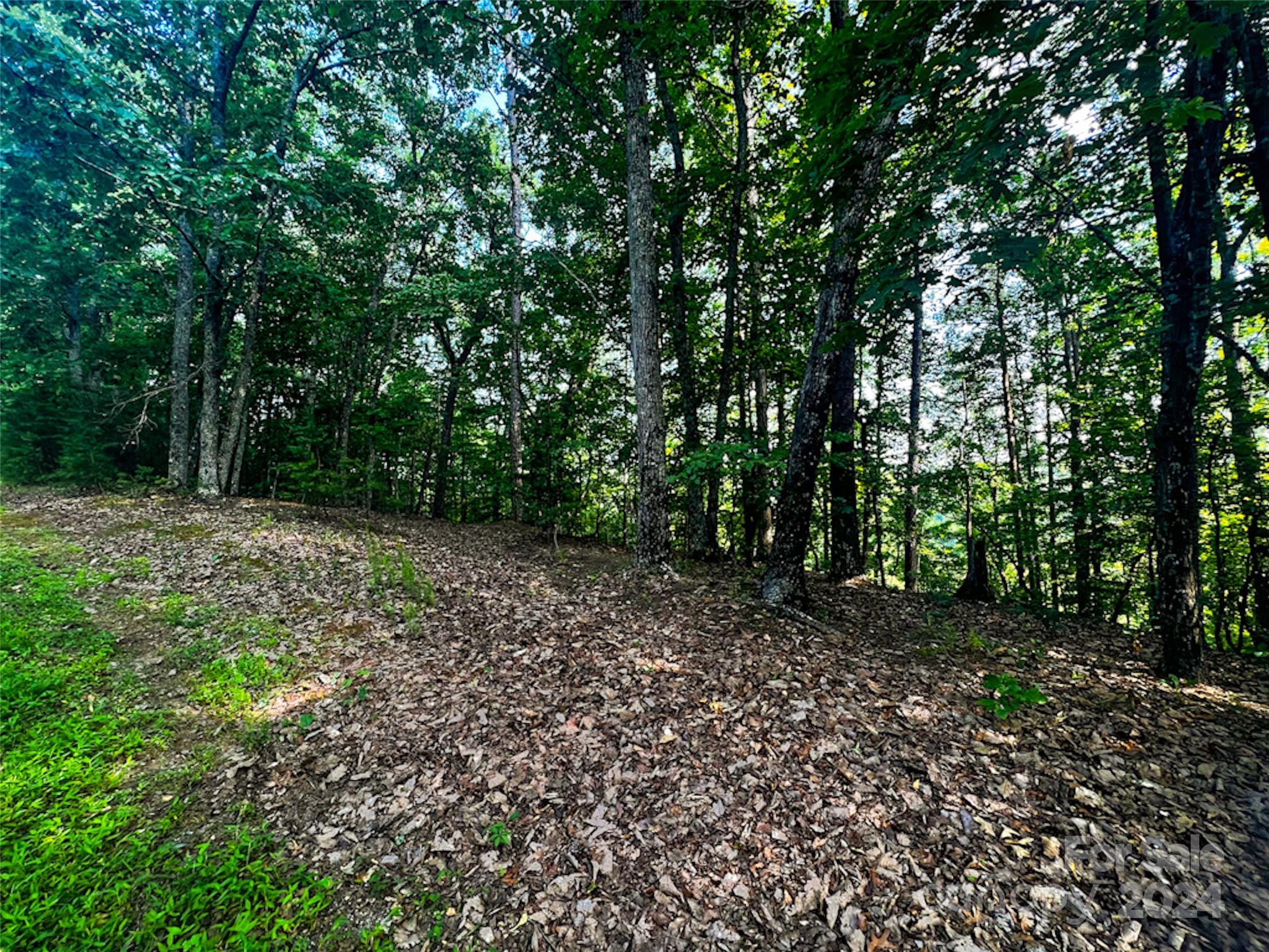 00 Whitney Boulevard Lake Lure NC 28746