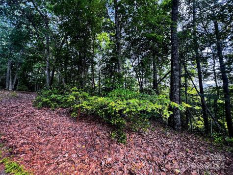 00 Whitney Boulevard Lake Lure NC 28746