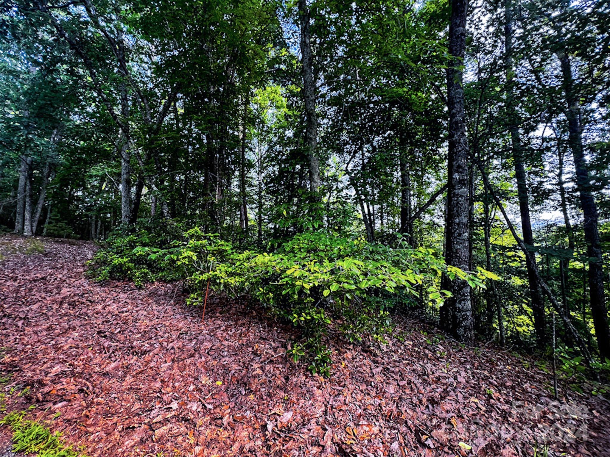 00 Whitney Boulevard Lake Lure NC 28746