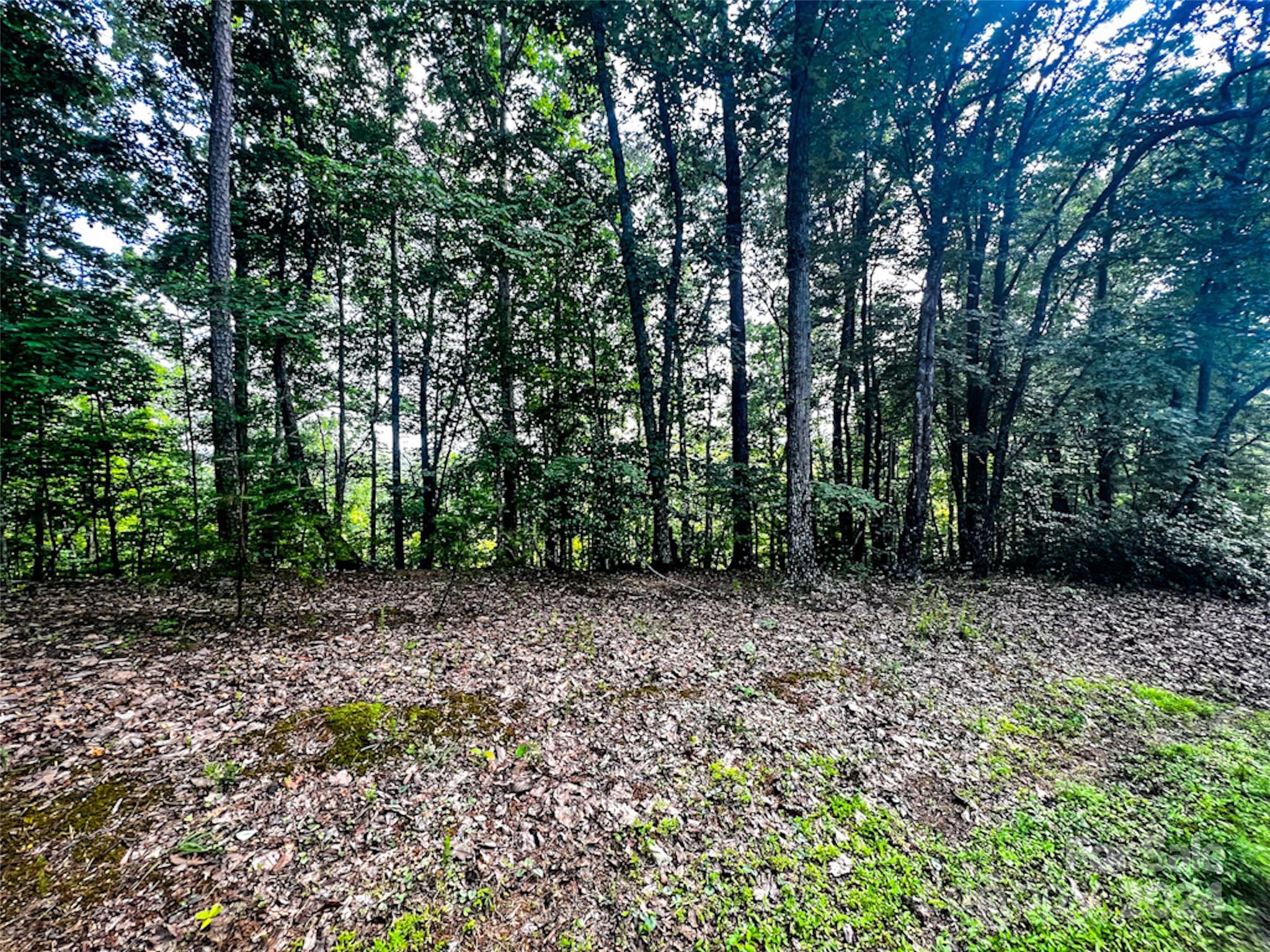 00 Whitney Boulevard Lake Lure NC 28746