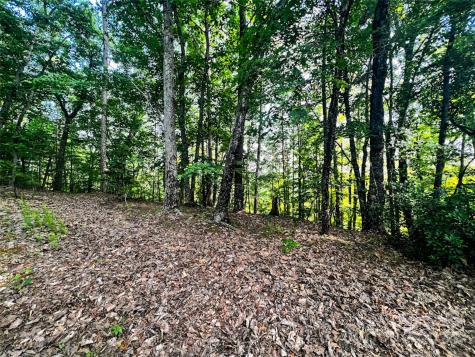 00 Whitney Boulevard Lake Lure NC 28746