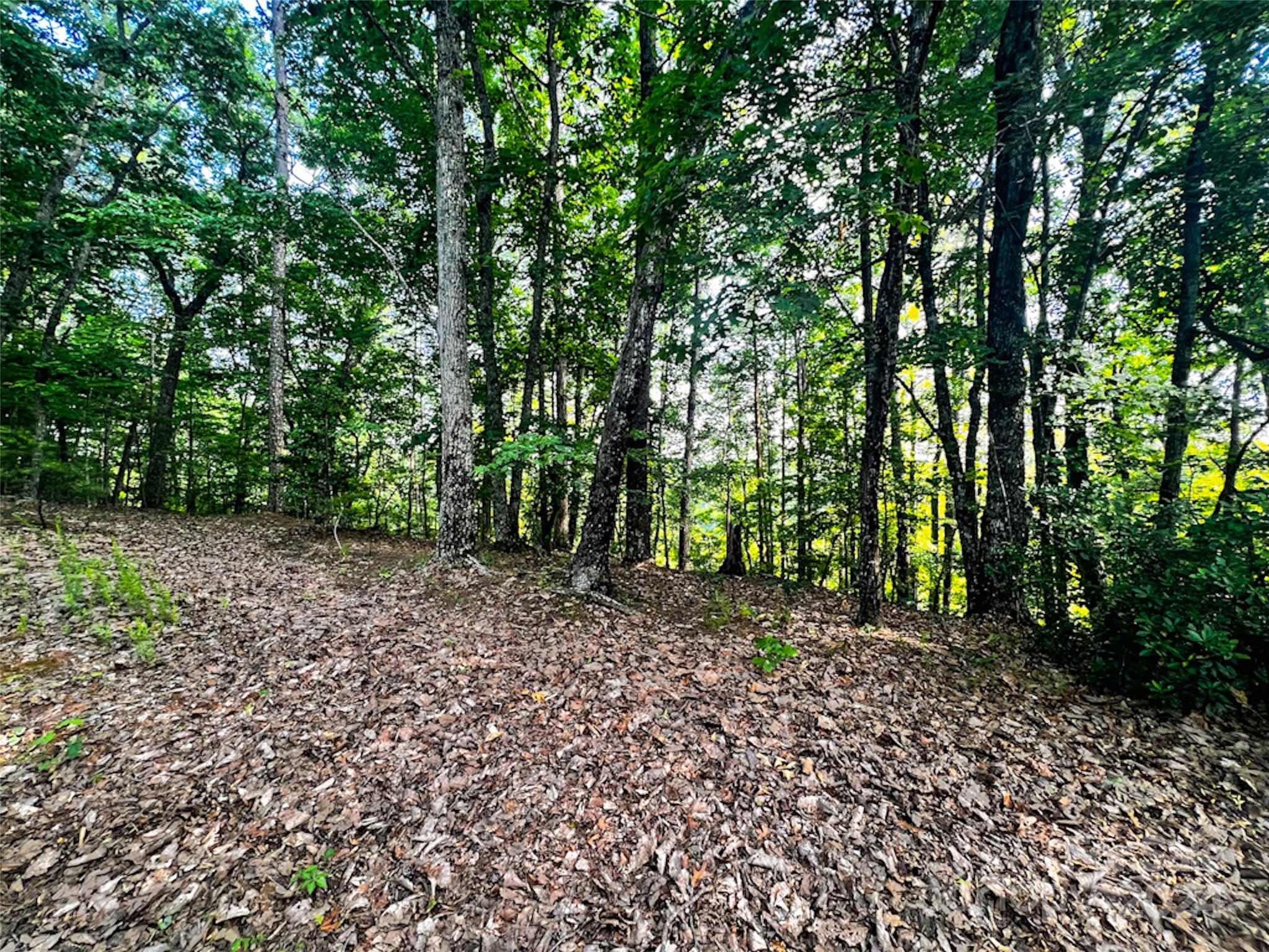 00 Whitney Boulevard Lake Lure NC 28746