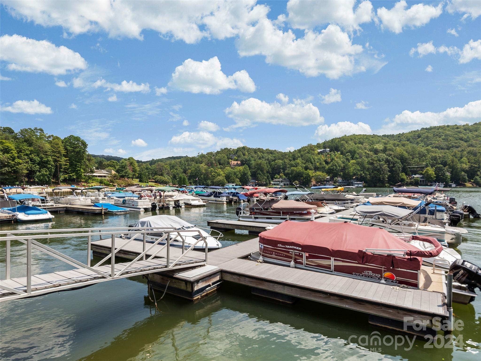 00 Whitney Boulevard Lake Lure NC 28746