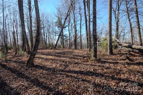 2211 Nighthawk Ridge Court Lenoir NC 28645