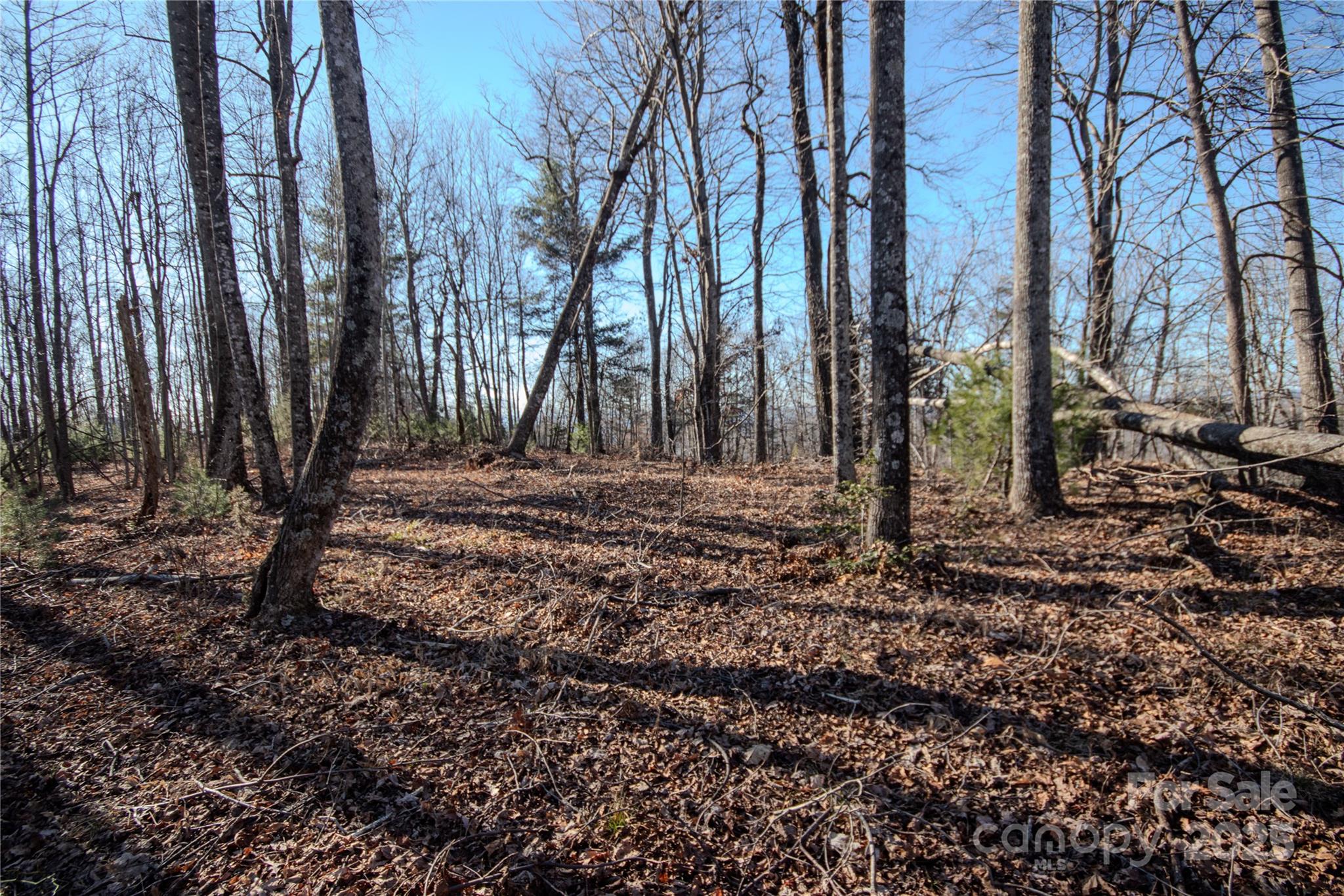 2211 Nighthawk Ridge Court Lenoir NC 28645