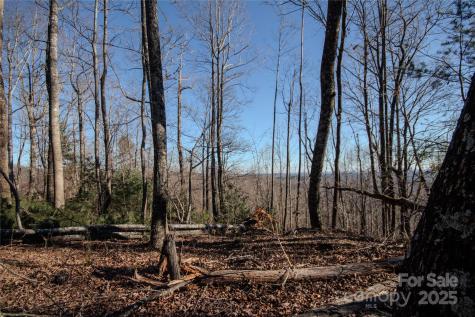 2211 Nighthawk Ridge Court Lenoir NC 28645