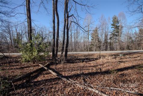 2211 Nighthawk Ridge Court Lenoir NC 28645