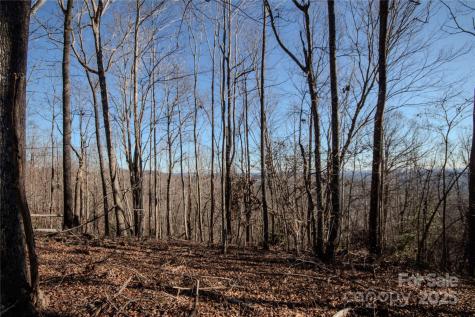 2211 Nighthawk Ridge Court Lenoir NC 28645